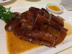 金牌烧鹅-龙记香港茶餐厅(久光百货店)