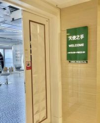 -天使之手plus