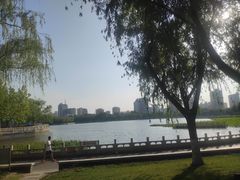 -莲花池公园