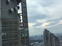 -东京都厅舍