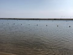 -碧海金沙