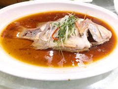 清蒸红斑-老好人象山海鲜(岭南路店)