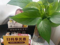 -梵猫·新养生(加州广场店)