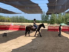 -北京群众马术培训基地