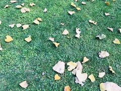 -河海大学(常州校区)