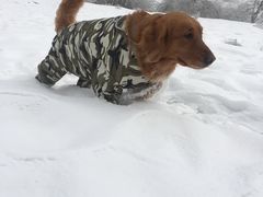 -太子岭滑雪场
