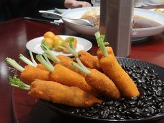 -丁老爷子苏香圆