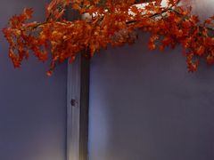 -扬州三韵足道会馆(中银店)