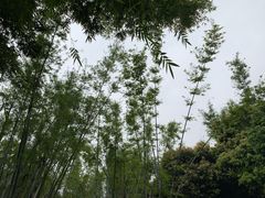 -彩虹桥宠物火化殡葬善终服务(金乐大厦店)