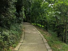 -桃花岛景观公园