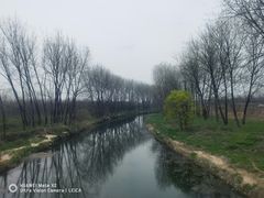 -洨河生态公园