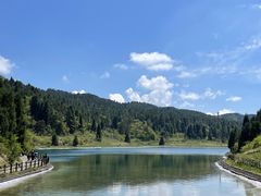 -武陵山森林公园