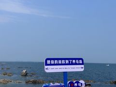 -养马岛旅游度假区