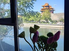 -四季民福烤鸭店(故宫店)