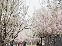 -三里河公园