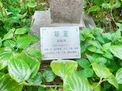 -广州神农草堂中医药博物馆