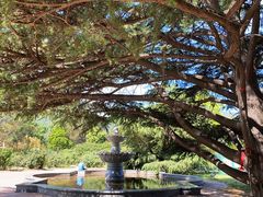 -国家植物园南园