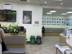 -美联众合动物医院·24h转诊中心