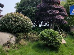 -盈丰路(地铁站)