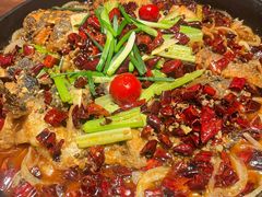 -老板恋上鱼(恒隆广场店)