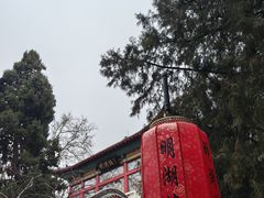 -明湖楼·经典鲁菜山东海鲜(大明湖店)