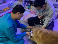 -瑞派宠物医院·24h·骨外科·皮肤科·全科宠物医疗转诊中心(沈阳浑南院)