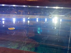 -天津湾西餐厅(三亚海棠湾洲际度假酒店)
