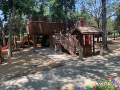 -南宫五洲植物乐园