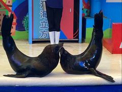 -成都浩海立方海洋公园