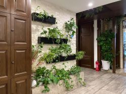 -青青一生美皮肤管理