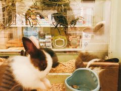 -龙猫仔乐园(惠福东路店)