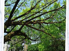 -广东外语外贸大学(白云山校区)