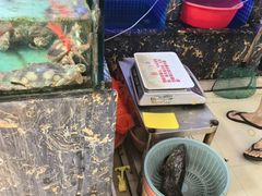 -鑫鸿达·海鲜闽菜热炒小馆(中山路店)