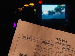 -枫花园汽车电影院(朝阳公园店)