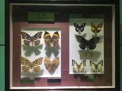 -上海昆虫博物馆