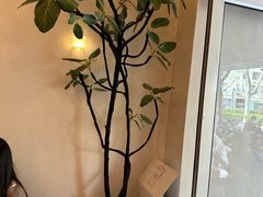 -小团圆糖水铺(襄阳南路店)