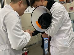 -申普宠物医院·眼科·心内科·影像科(普陀分院)