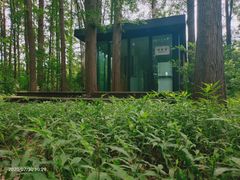 -同里国家湿地公园