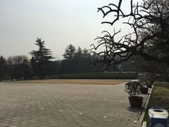 -秦始皇帝陵博物院-丽山园