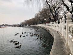 -后海公园