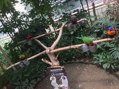 -南宫五洲植物乐园