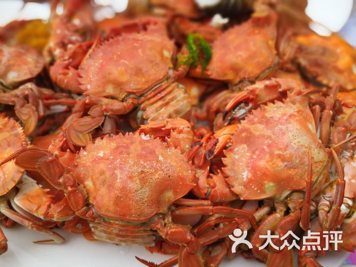 石夹红