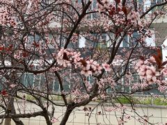 -大兴滨河森林公园