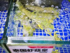 -欢乐海岸美食联盟