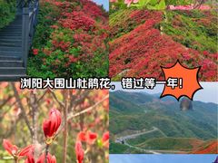 -大围山国家森林公园