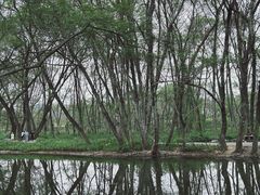 -西溪南古村落景区