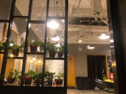 -时尚殿堂明星门店