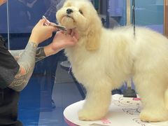 -FAELING PETS美天灵宠物(富力广场店)