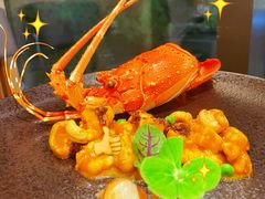 -月龍吟(朝龙汇店)