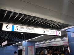 -大龙山(地铁站)